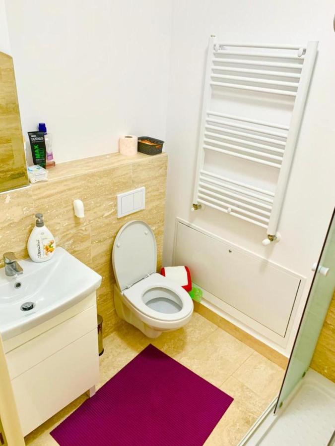 Big & Cosy Apartment With 3 Double Beds & 2 Bathrooms 雅西 外观 照片